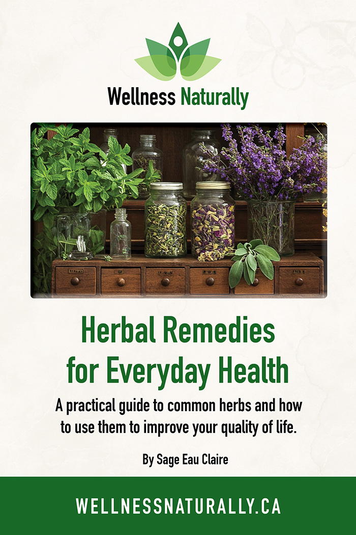 Herbal Remedies for Everyday Life