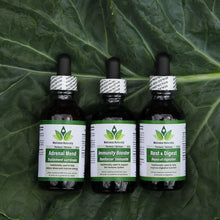 Load image into Gallery viewer, 3 Tincture Combo Pack by Wellness Naturally - 3 x 60ml Tincture