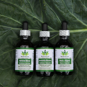3 Tincture Combo Pack by Wellness Naturally - 3 x 60ml Tincture