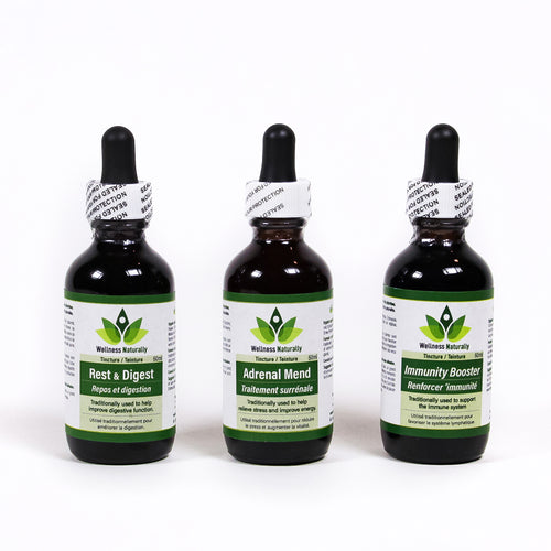 3 Tincture Combo Pack by Wellness Naturally - 3 x 60ml Tincture