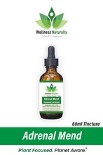 Load image into Gallery viewer, Adrenal Mend by Wellness Naturally - 60ml Tincture