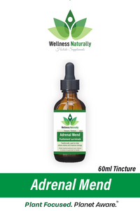 Adrenal Mend by Wellness Naturally - 60ml Tincture