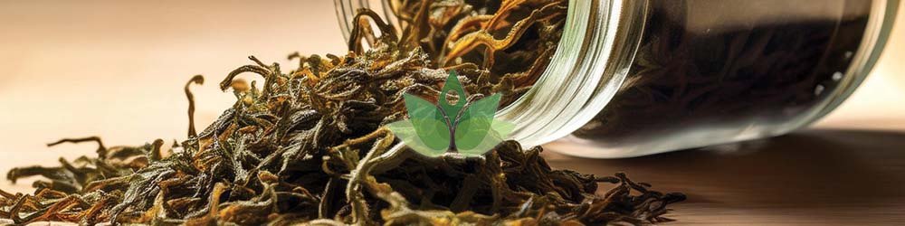 Dulse